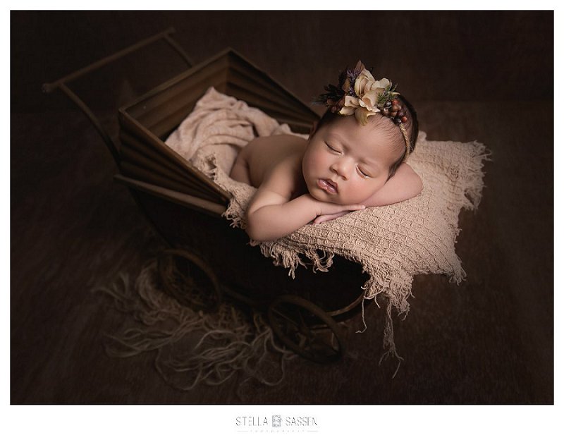 0008 expert newborn photographer cape town