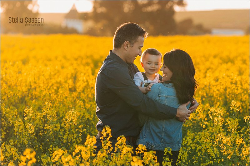 20230909 jana canola 19