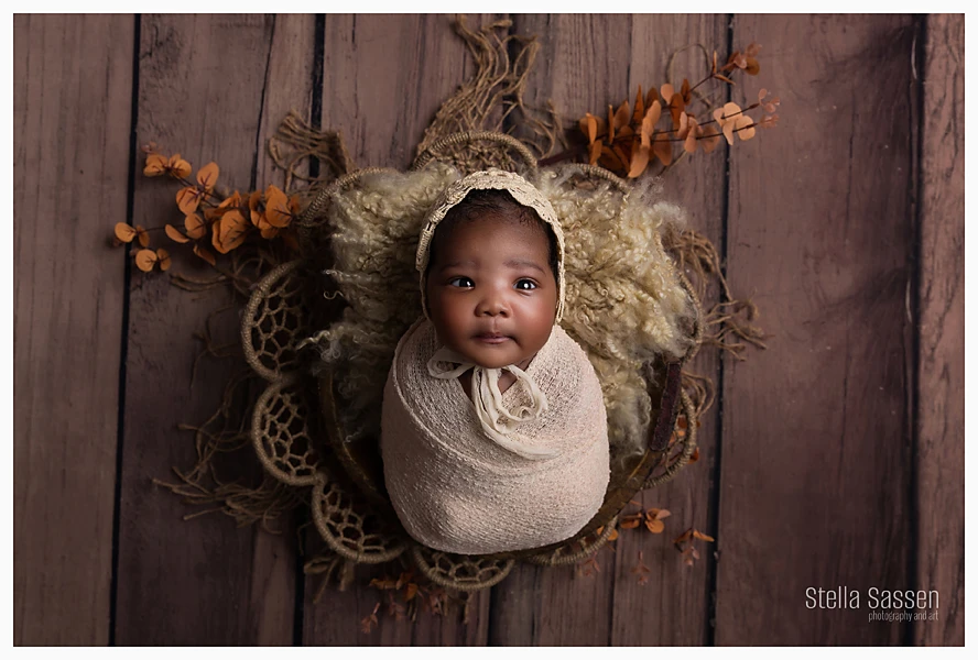 20250203 newborn photographer cape town 1